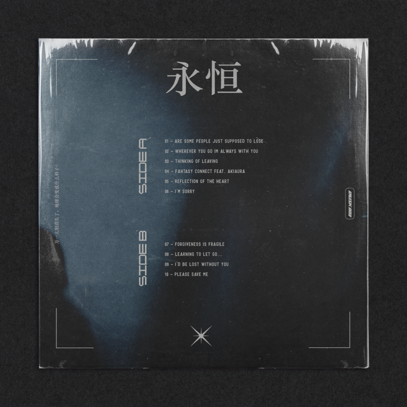 van1sh : everlasting Vinyl