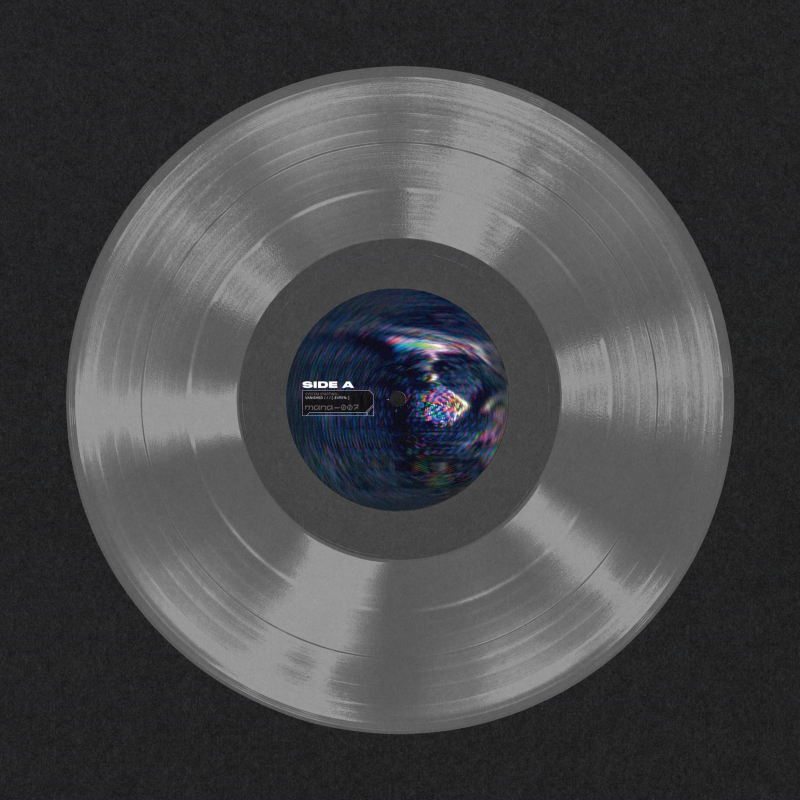 evryn : Vanished Vinyl