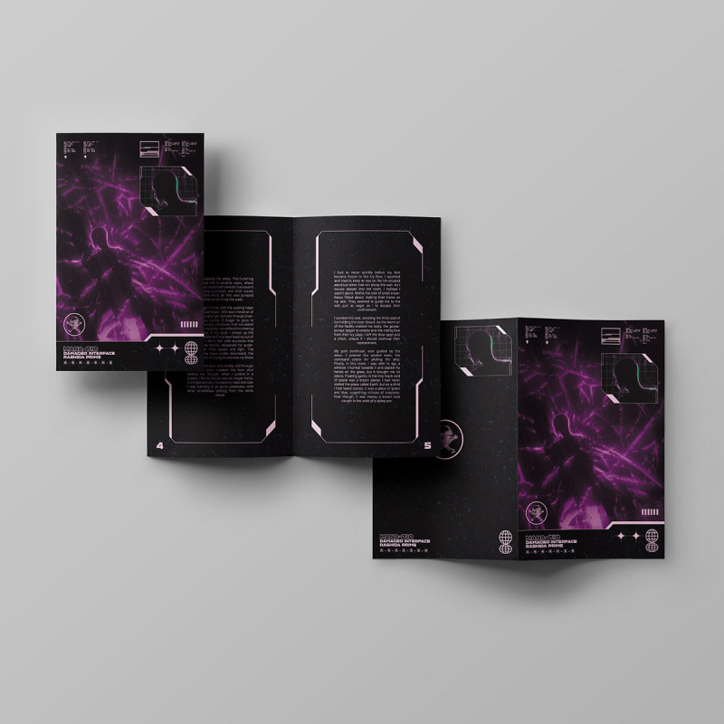 Rashida Prime : Damaged Interface Vinyl