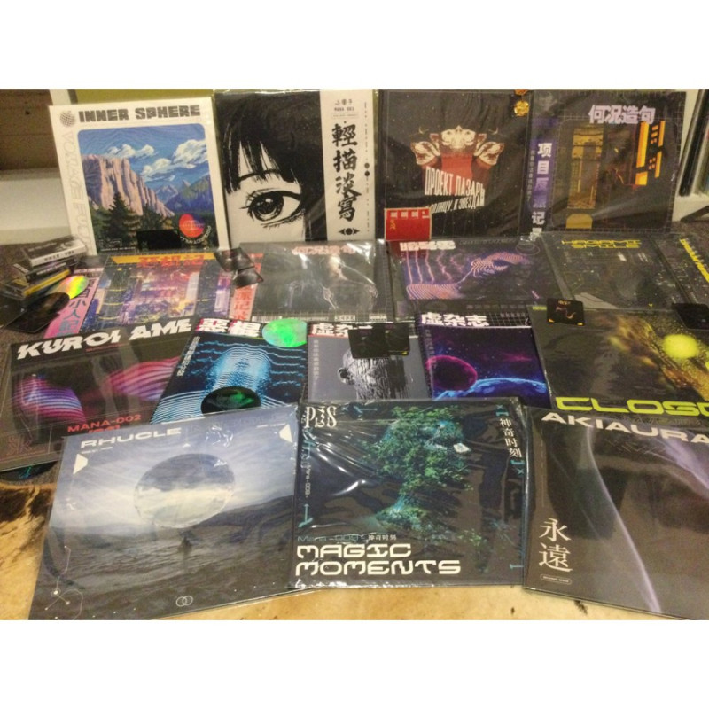 Private: 1 x 4 Vinyl Preorder (Supporter's Edition)