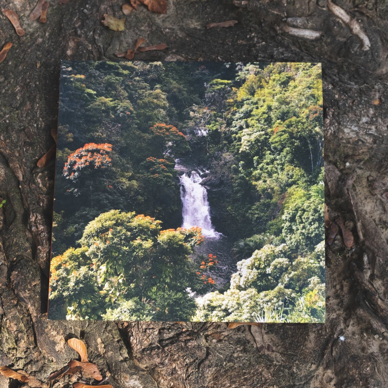 invention_ : Islndrm Vinyl