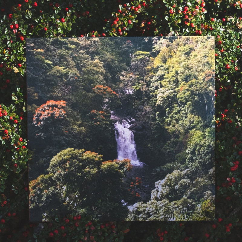 invention_ : Islndrm Vinyl