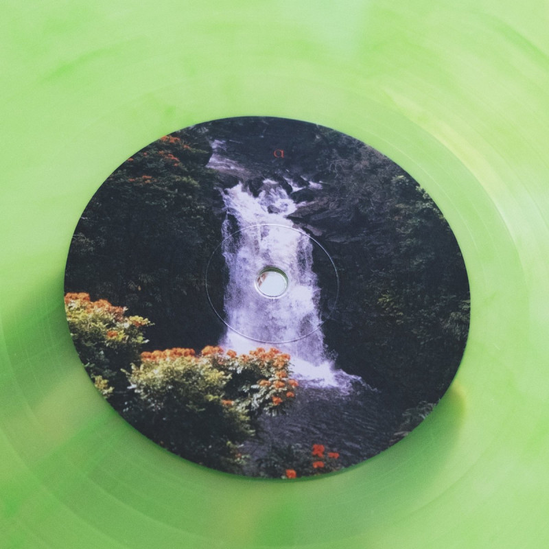 invention_ : Islndrm Vinyl