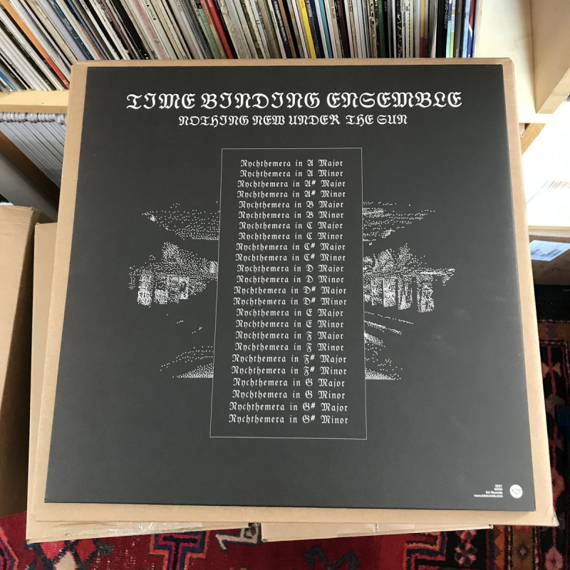 Time Binding Ensemble : Nothing New Under the Sun Vinyl