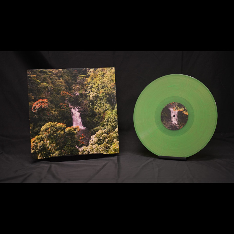 invention_ : Islndrm Vinyl
