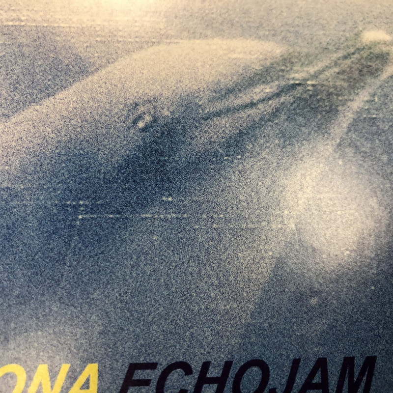 Private: Charles Persona : ECHOJAM Vinyl