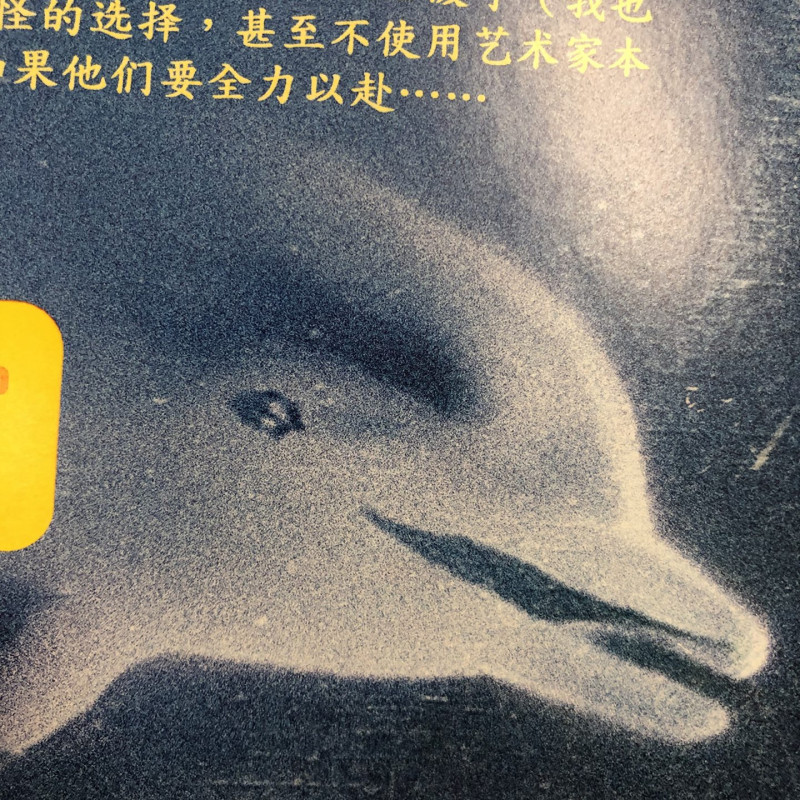 Private: Charles Persona : ECHOJAM Vinyl