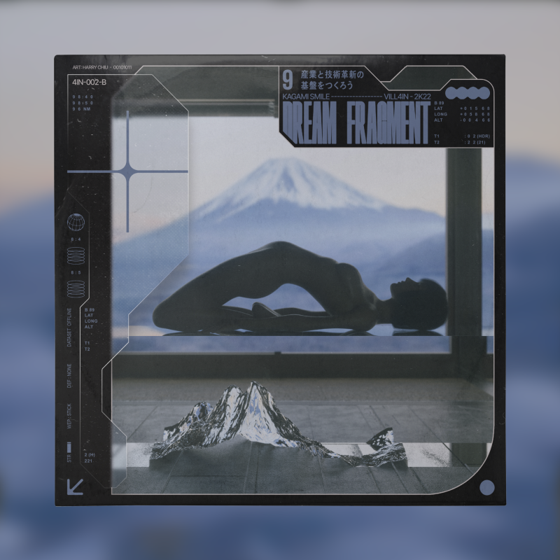 ExMemory : Lifecycles Vinyl