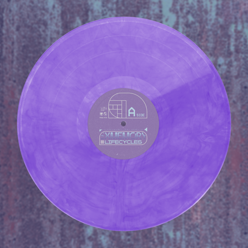 ExMemory : Lifecycles Vinyl
