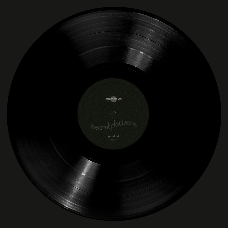 secretflowers : Zero Point REDUX Vinyl