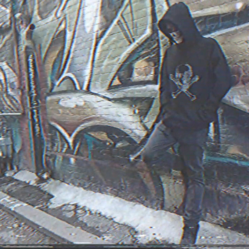 VILL4IN Hoodie (Classic)