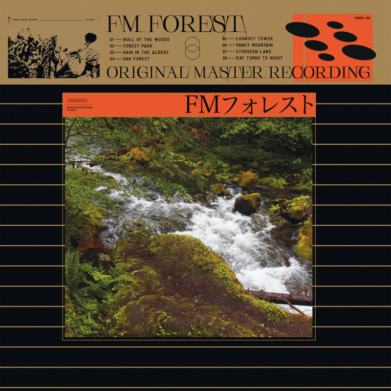 FM Forest : Universe Vinyl