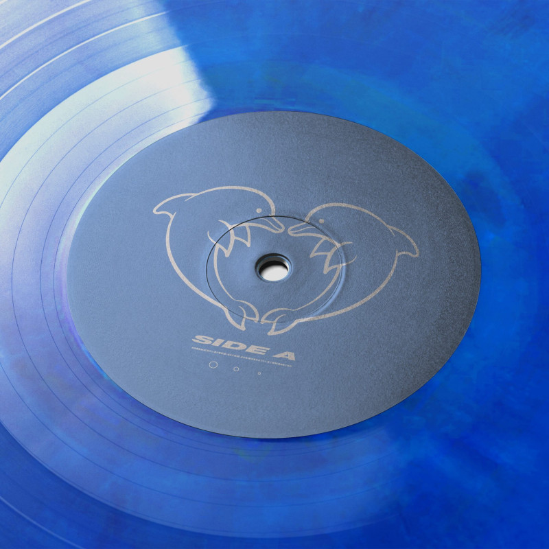 h a z e : Internet Explorer Vinyl
