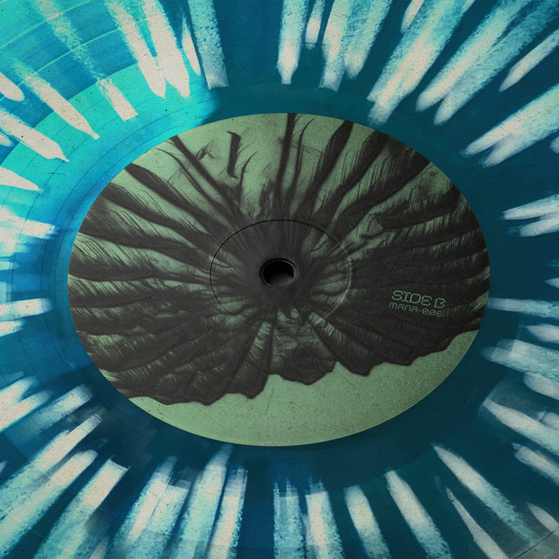 CMD094 : Kagami Tears Vinyl