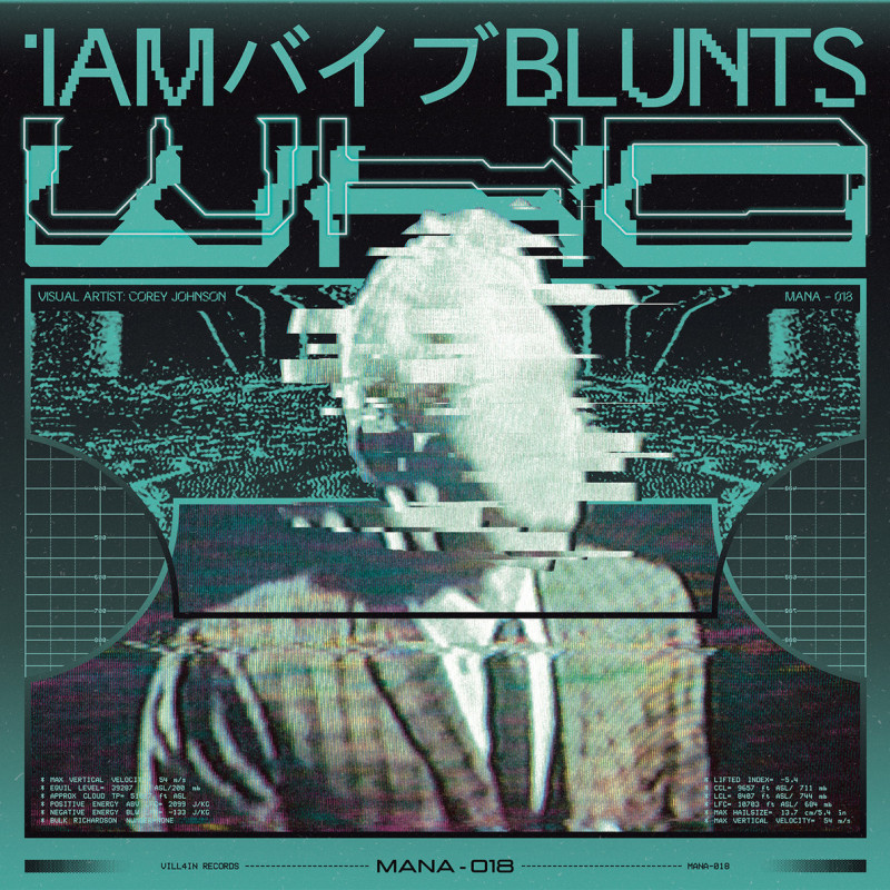 1am バイブBlunts : who Vinyl