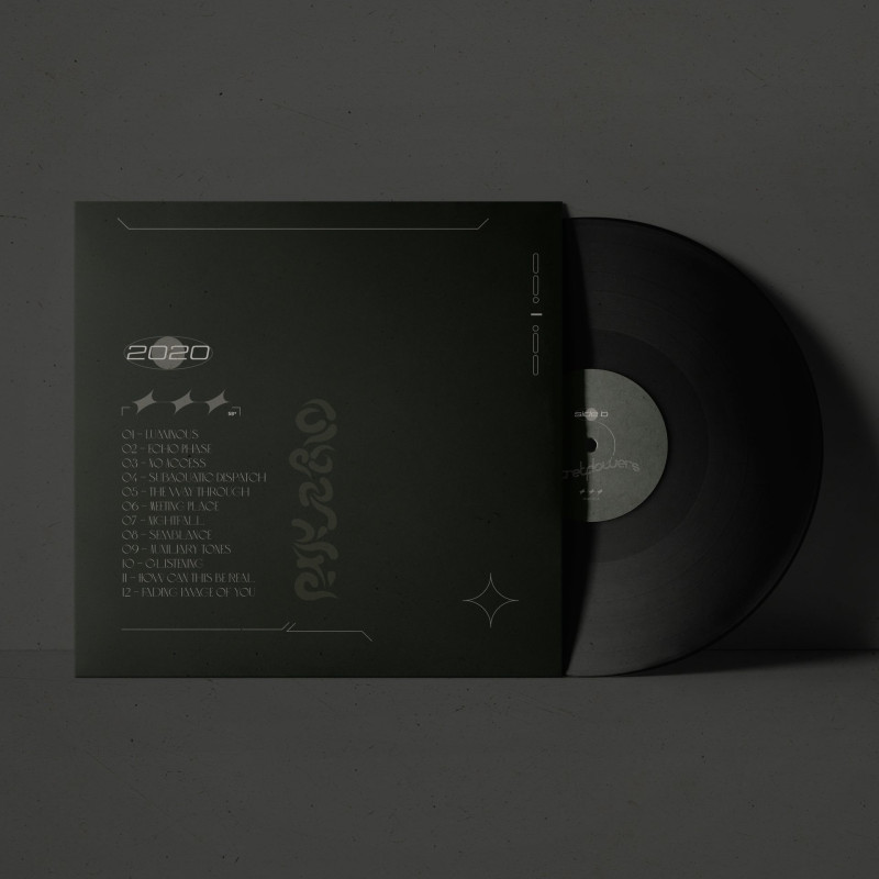 secretflowers : Zero Point REDUX Vinyl