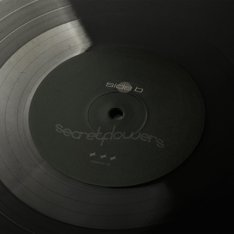 secretflowers : Zero Point REDUX Vinyl
