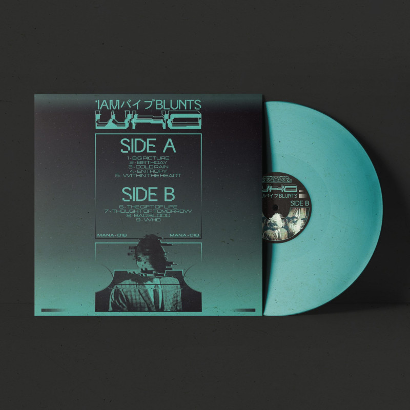 1am バイブBlunts : who Vinyl