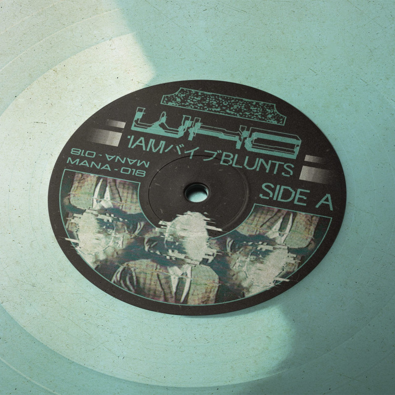 1am バイブBlunts : who Vinyl