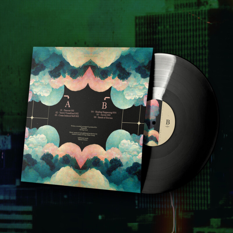 The A/V Dept. : ...it all felt so real Vinyl