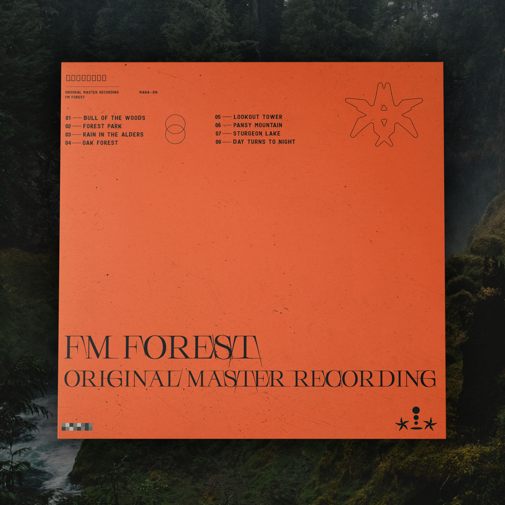 FM Forest – Universe Vinyl - Image 8