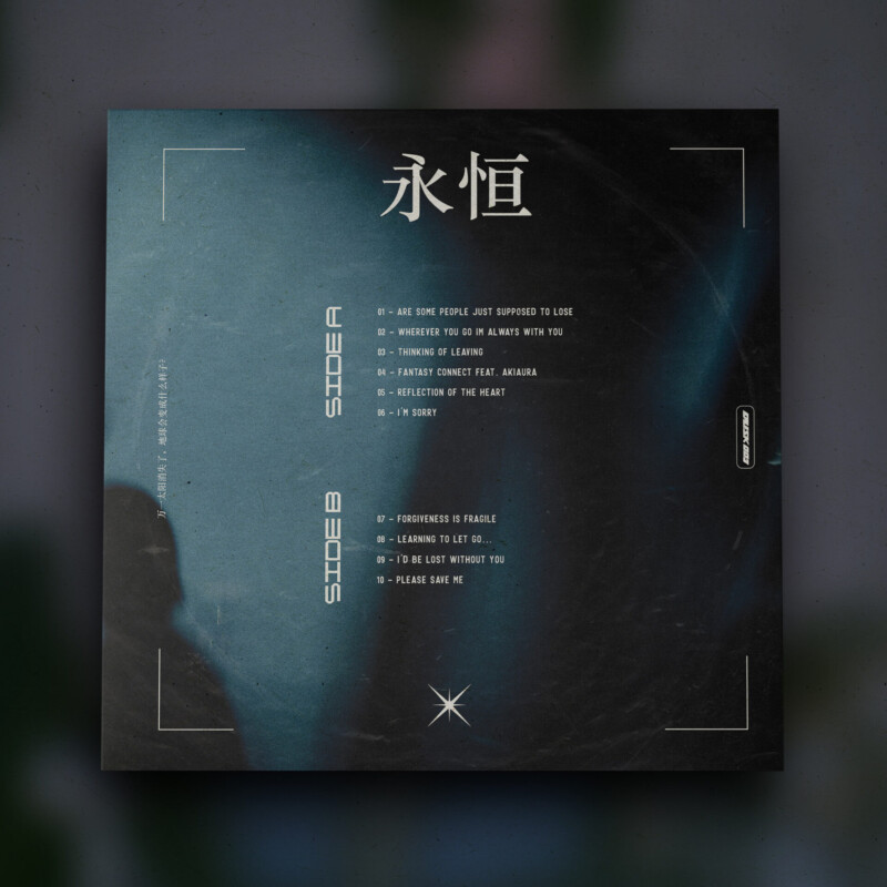 van1sh : everlasting Vinyl