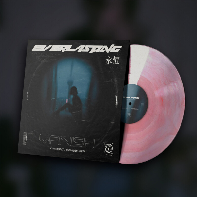 van1sh : everlasting Vinyl