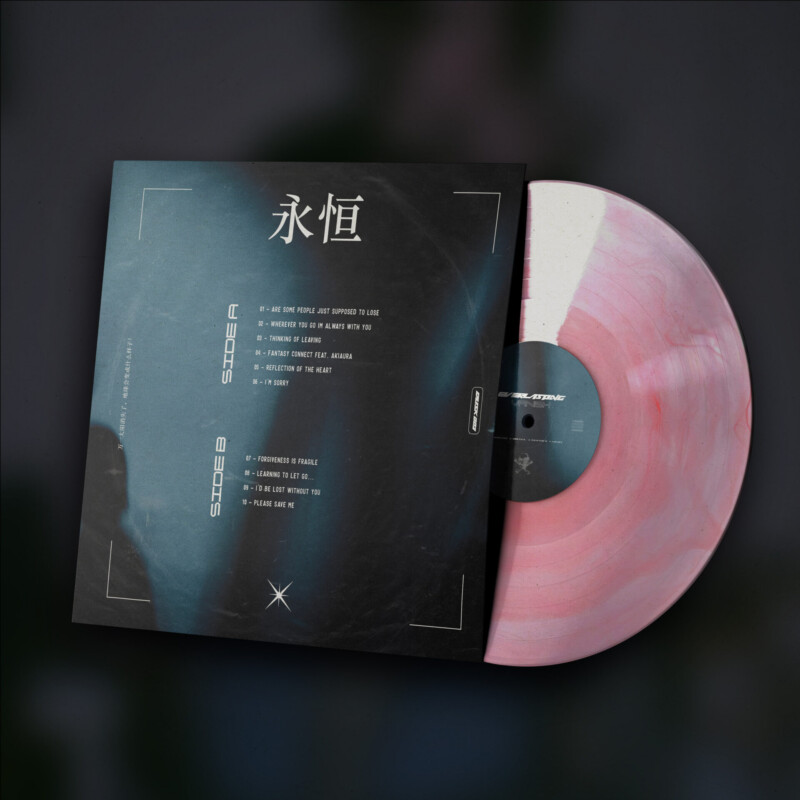van1sh : everlasting Vinyl
