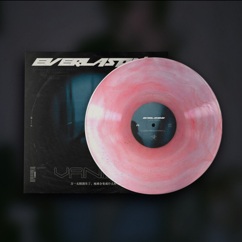 van1sh : everlasting Vinyl