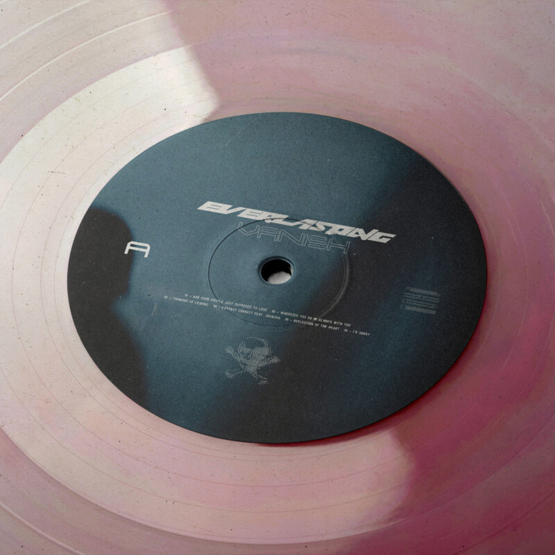 van1sh : everlasting Vinyl