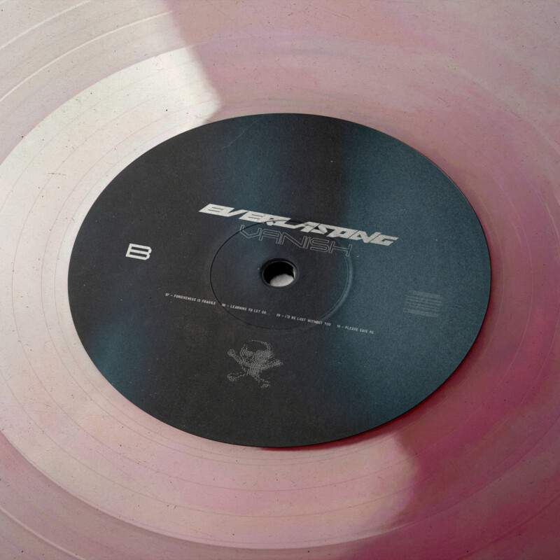 van1sh : everlasting Vinyl