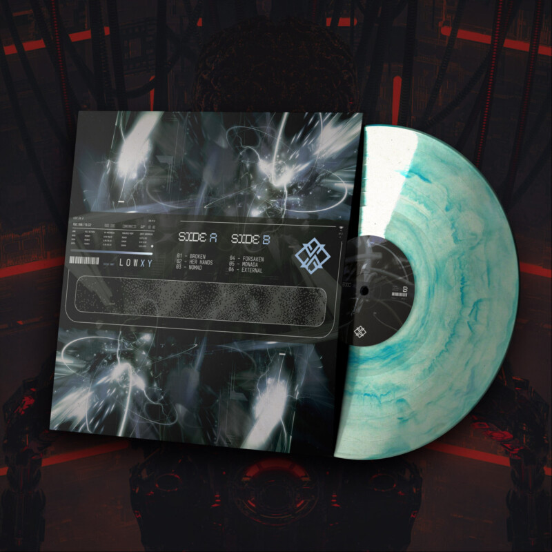 LowXY : Intrinsic Value Vinyl