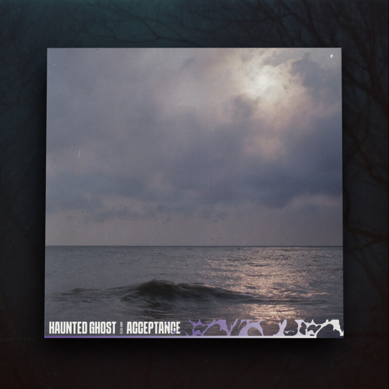 Haunted Ghost : Acceptance Vinyl