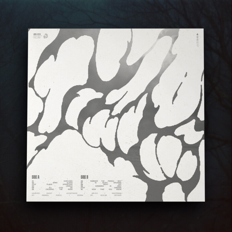 Haunted Ghost : Acceptance Vinyl