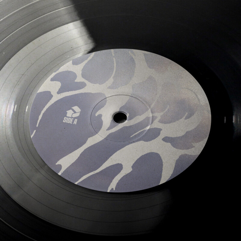 Haunted Ghost : Acceptance Vinyl