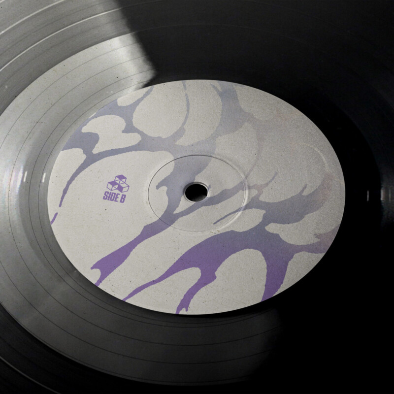 Haunted Ghost : Acceptance Vinyl