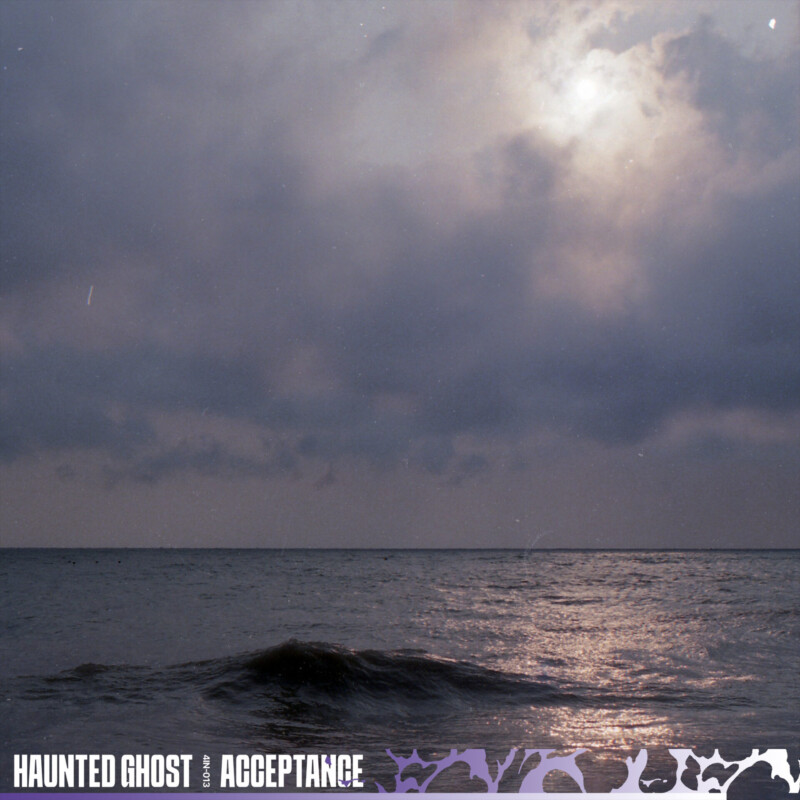 Haunted Ghost : Acceptance Vinyl