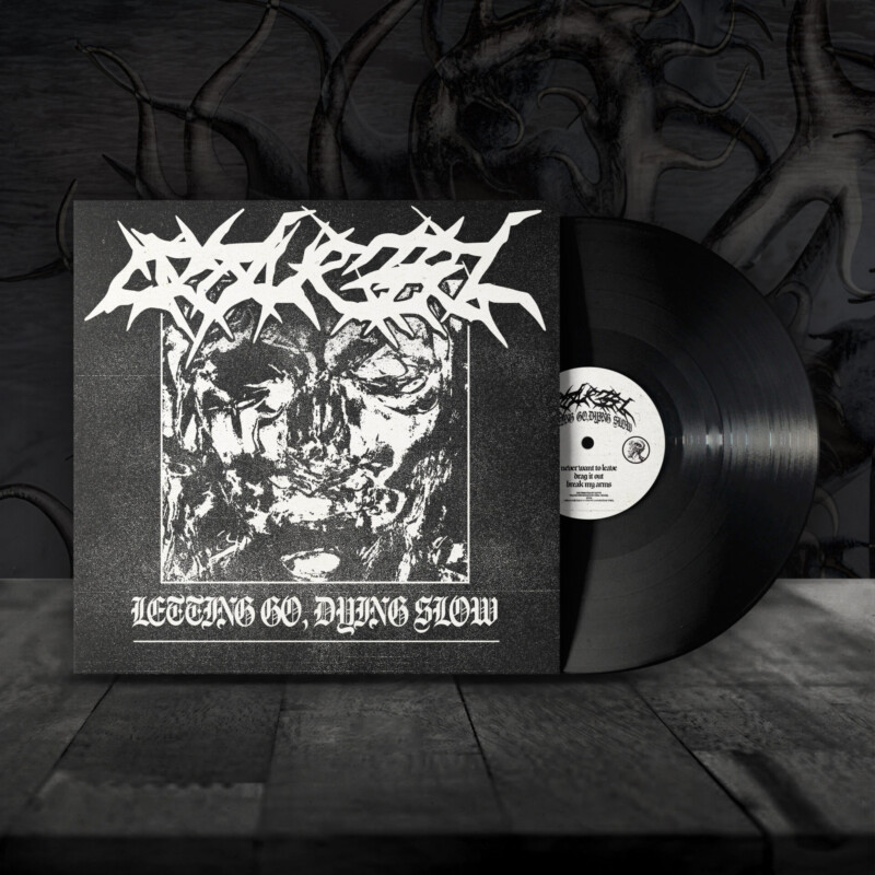 Opal Vessel : Letting Go, Dying Slow Vinyl