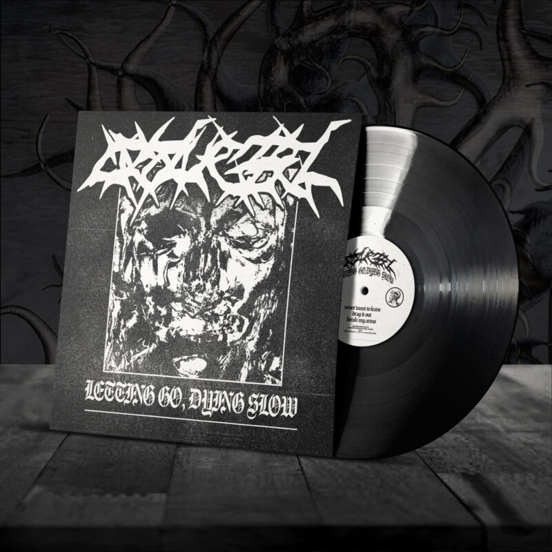 Opal Vessel : Letting Go, Dying Slow Vinyl