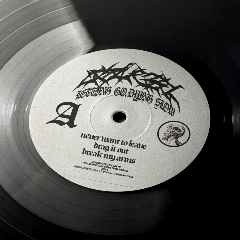 Opal Vessel : Letting Go, Dying Slow Vinyl
