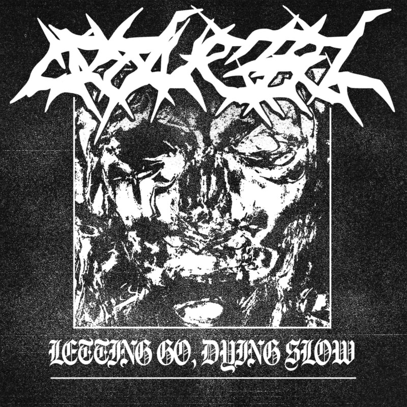Opal Vessel : Letting Go, Dying Slow Vinyl