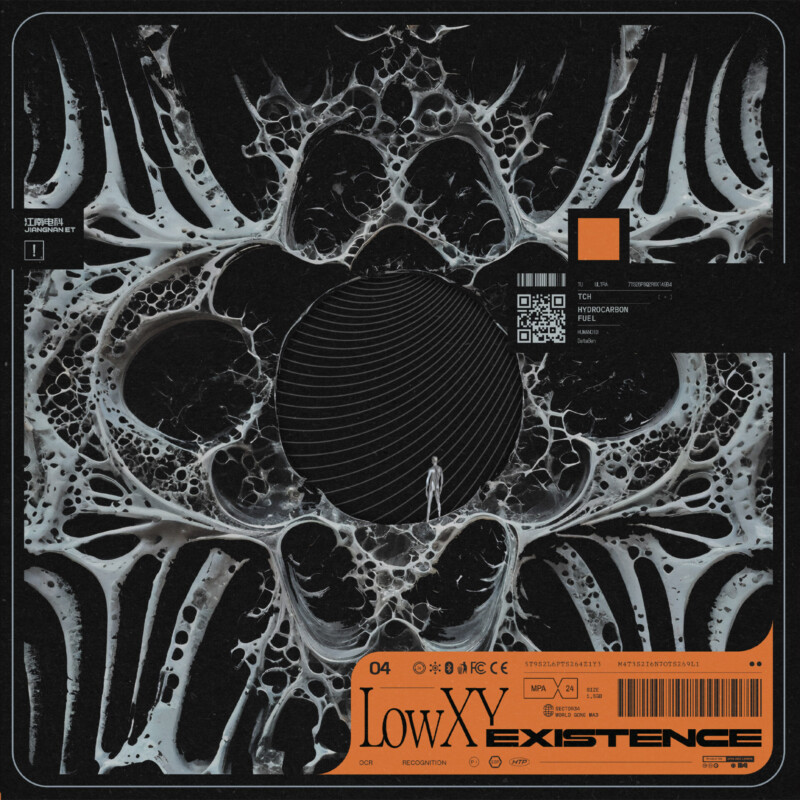 LowXY : Existence Vinyl