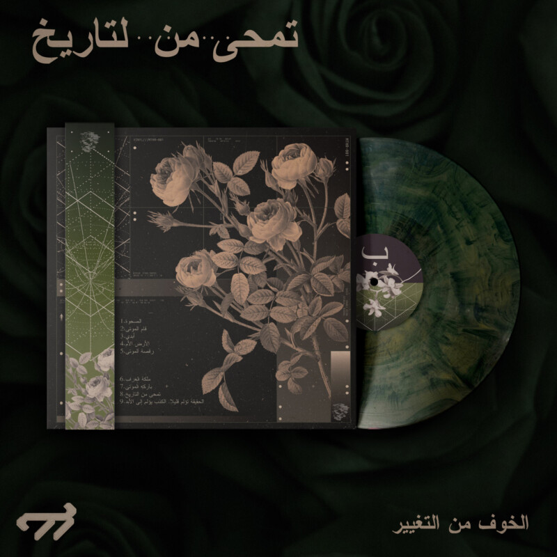 الخوف من التغيير : تمحى من التاريخ Vinyl