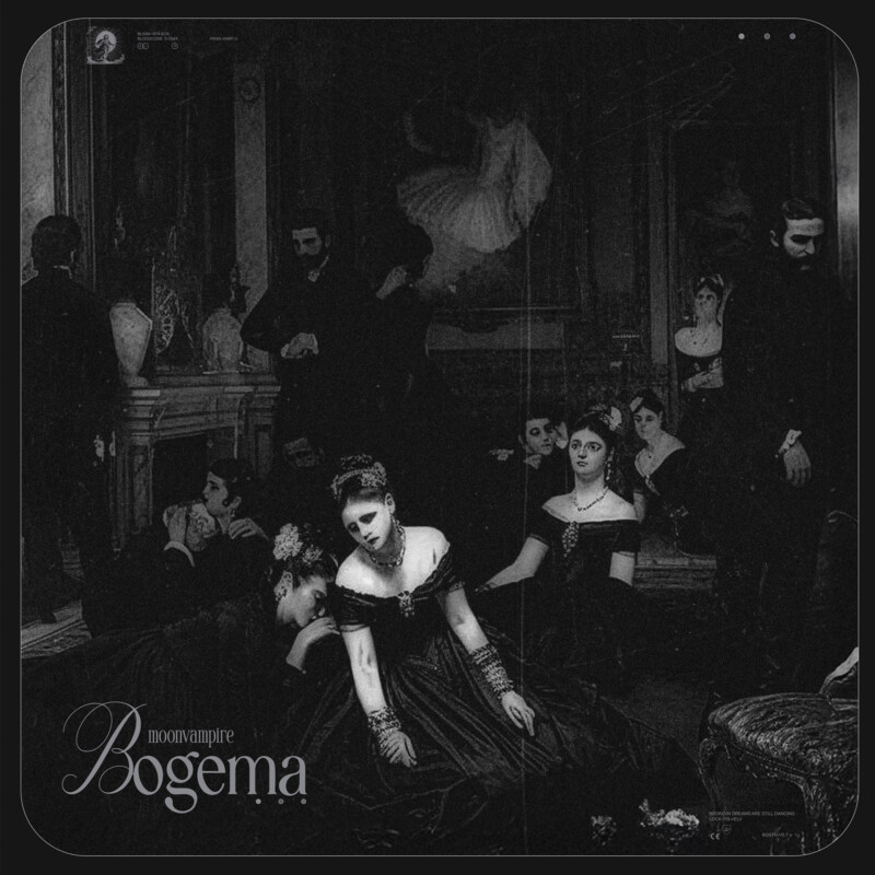 moonvampire : BOGEMA Vinyl